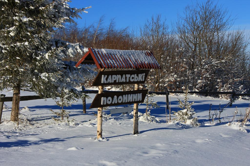 Karpatski Polonyny Urics Kültér fotó
